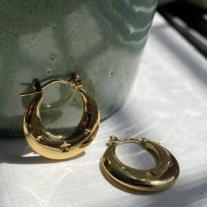 Cosmos Earrings